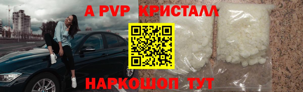 A PVP СК Вышний Волочёк