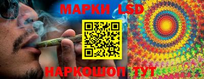 PSILOCYBIN Гатчина