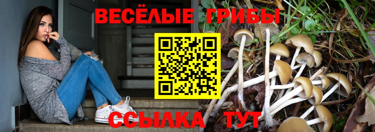 Псилоцибиновые грибы мицелий  купить наркотик  Вышний Волочёк  Псилоцибиновые грибы мицелий 
