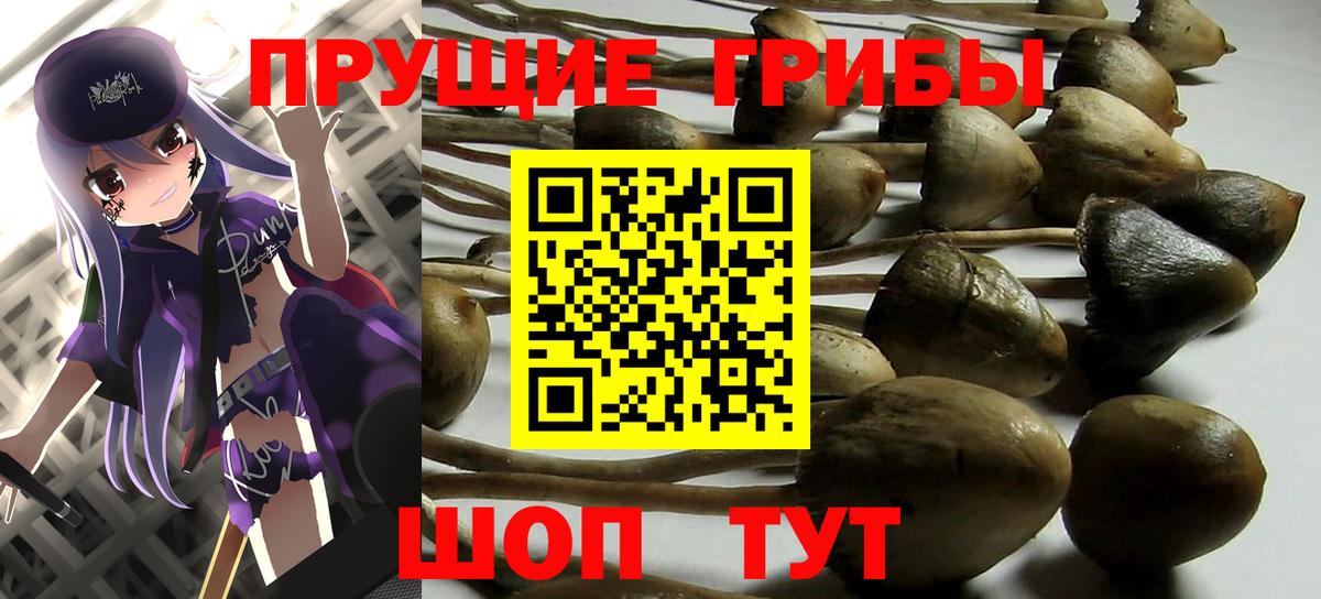 Псилоцибиновые грибы мухоморы Вышний Волочёк