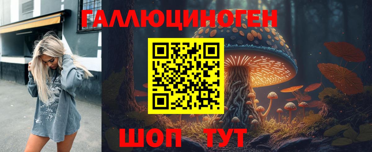 Галлюциногенные грибы мицелий  Галлюциногенные грибы GOLDEN TEACHER  Вход с VPN  Вышний Волочёк 